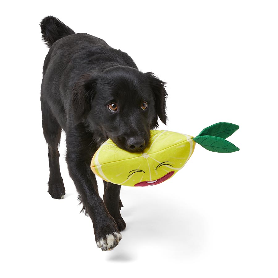 Pets at Home Bitter Lemon Dog Toy