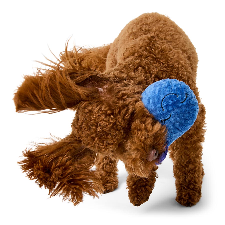 Pets at Home Blueberry Dog Toy