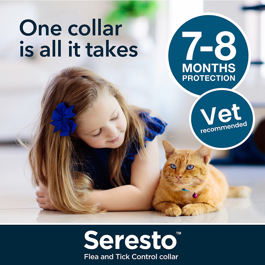 Seresto Flea & Tick Control Cat Collar 8kg & Under