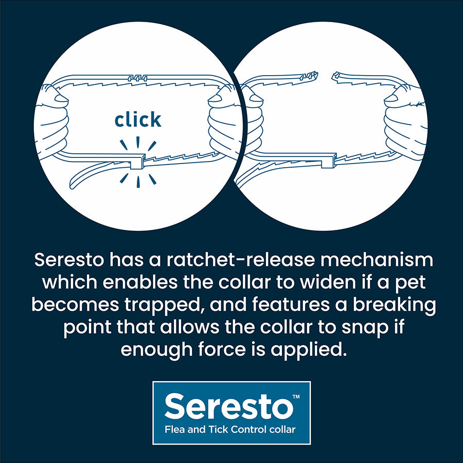 Seresto Flea & Tick Control Cat Collar 8kg & Under