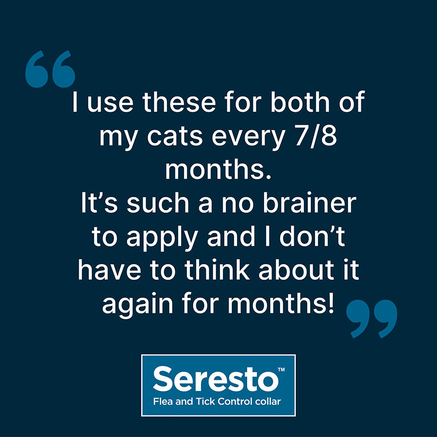 Seresto Flea & Tick Control Cat Collar 8kg & Under