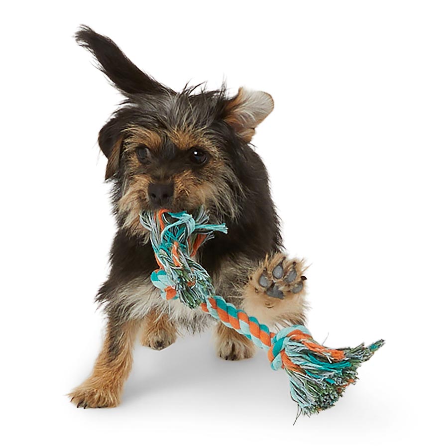 Pets at Home Knotted Rope Dog Toy Small