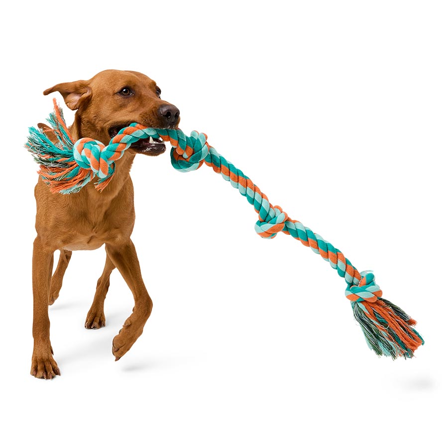 Pets at Home Knotted Rope Snake Dog Toy XX Large