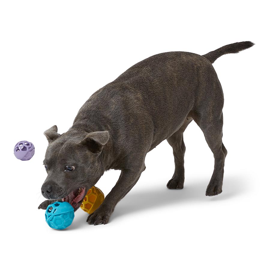 Pets at Home Cage Ball Dog Toy Small