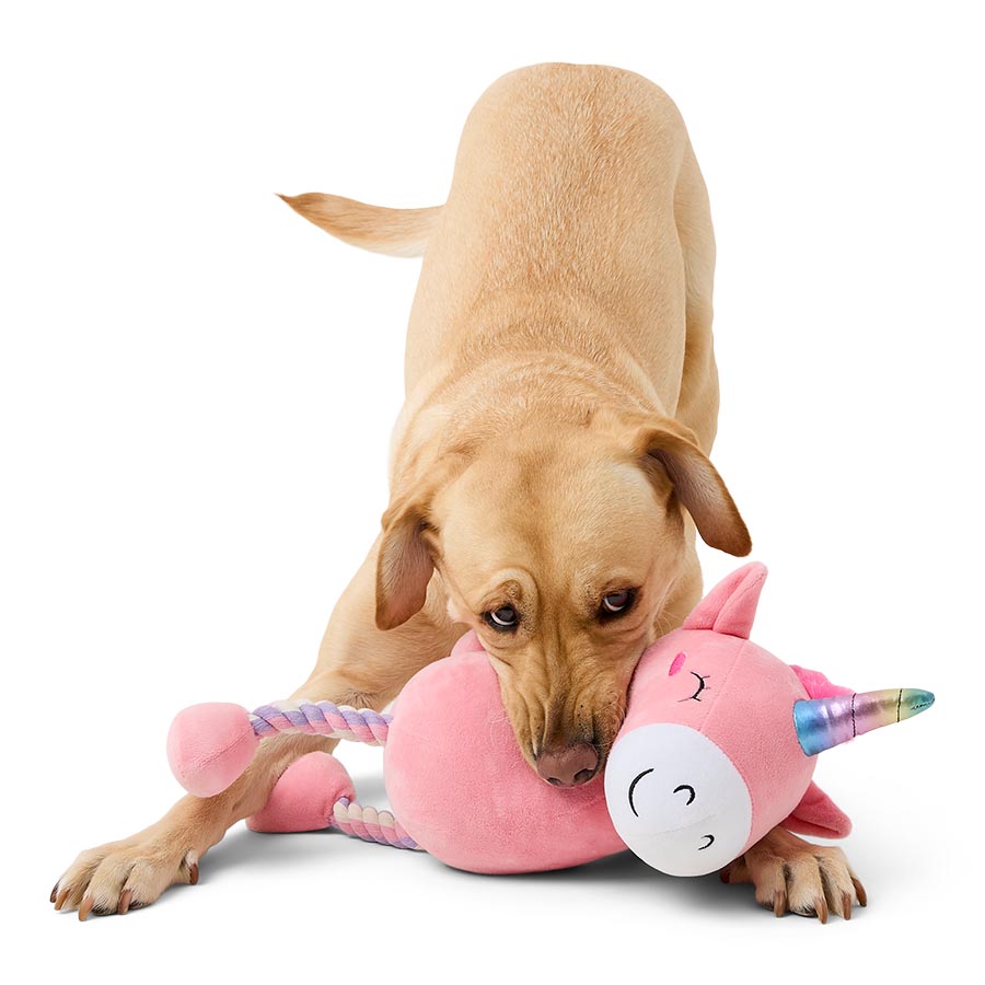 Pets at Home Rope Unicorn Dog Toy Large