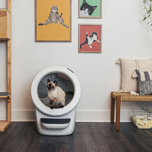 Litter-Robot Cat Litter Tray 4 White