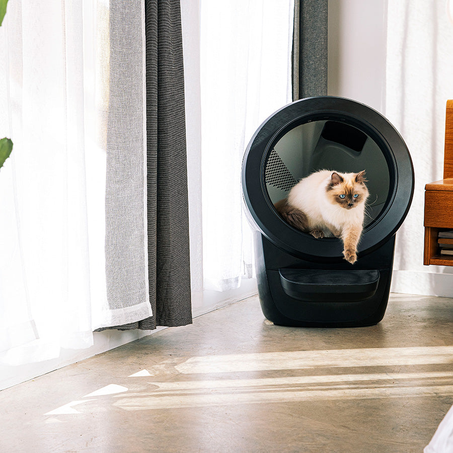 Litter-Robot Cat Litter Tray 4 Black