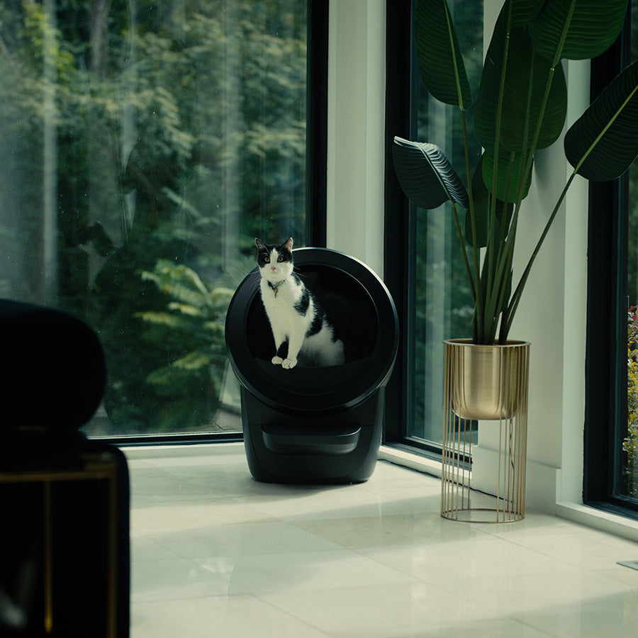 Litter-Robot Cat Litter Tray 4 Black