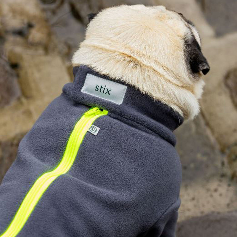 Stix & Co Pug Dog Coat Charcoal