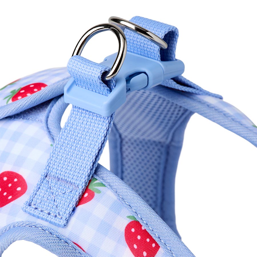 Pets at Home Strawberry Picnic Dog Harness Blue