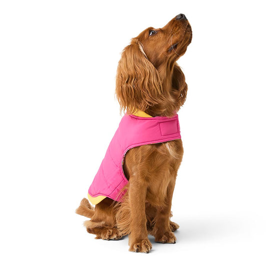 Pets at Home Ditsy Floral Reversible Dog Jacket Pink