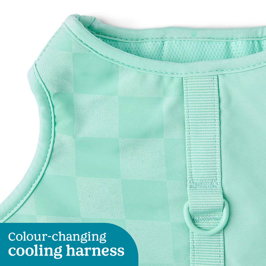 Pets at Home Colour Changing Cooling Dog Harness Mint Green