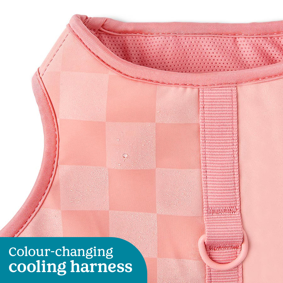 Pets at Home Pink Colour Changing Cooling Dog Harness