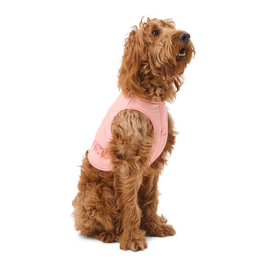 Pets at Home Pink Colour Changing Cooling Dog Harness