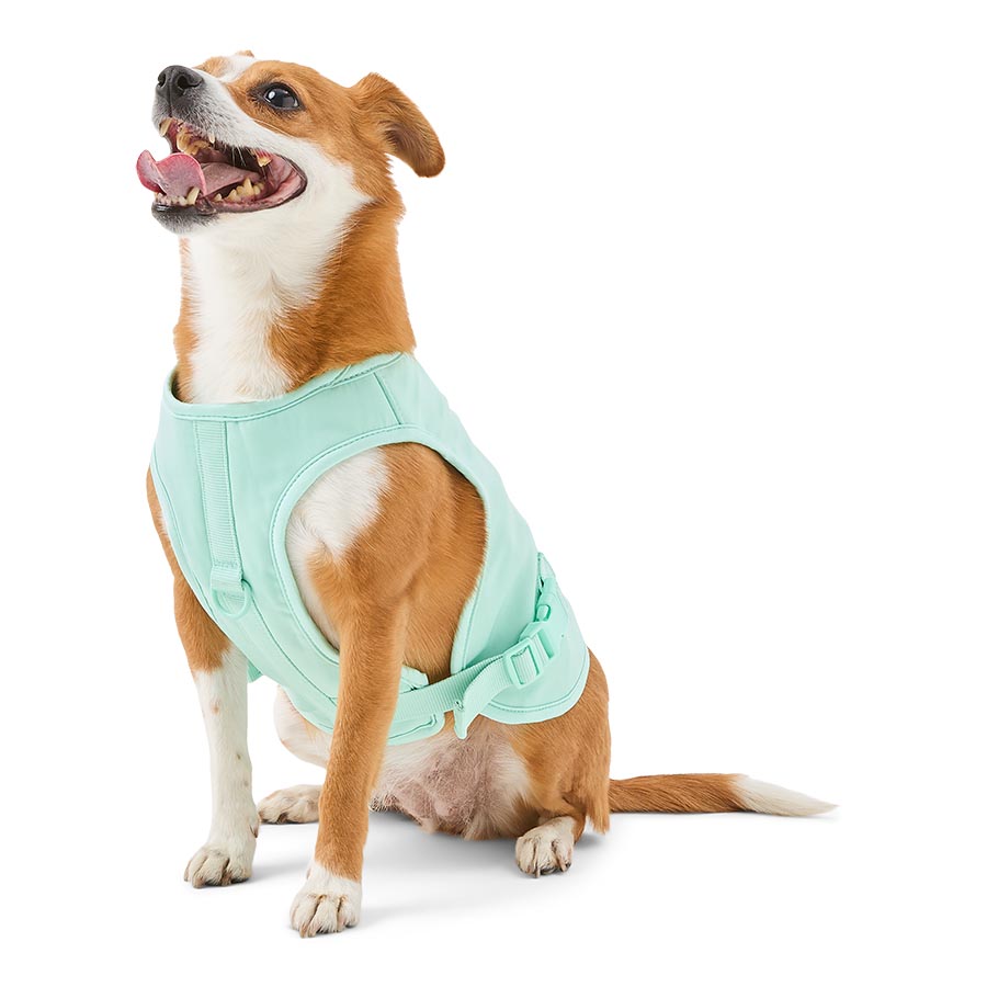 Pets at Home Colour Changing Cooling Dog Harness Mint Green