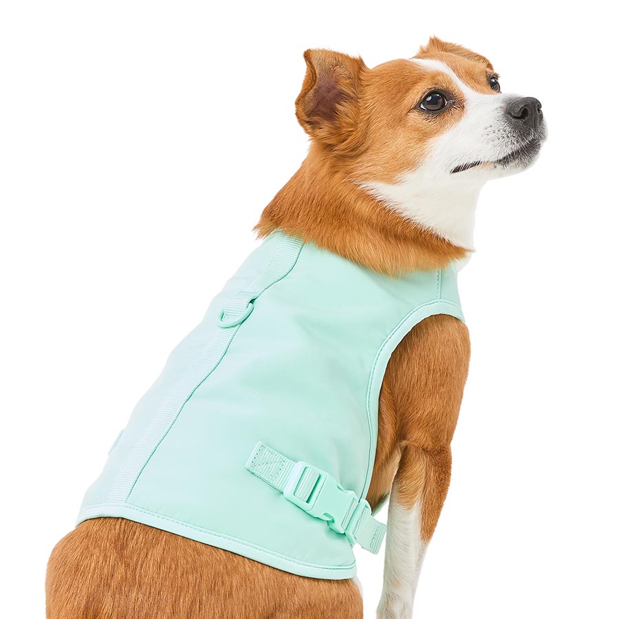 Pets at Home Colour Changing Cooling Dog Harness Mint Green