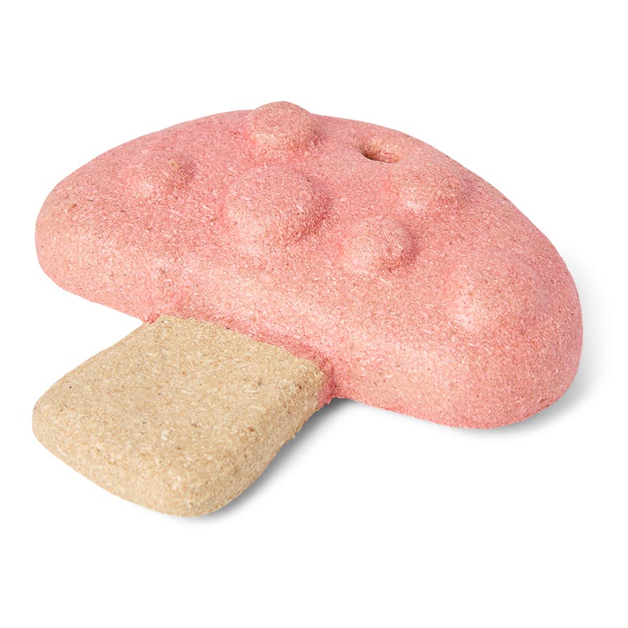 Pets at Home Hanging Mushroom Small Animal Gnaw