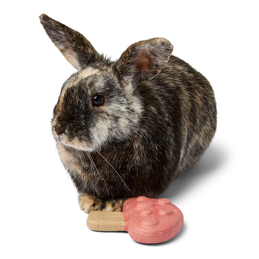 Pets at Home Hanging Mushroom Small Animal Gnaw