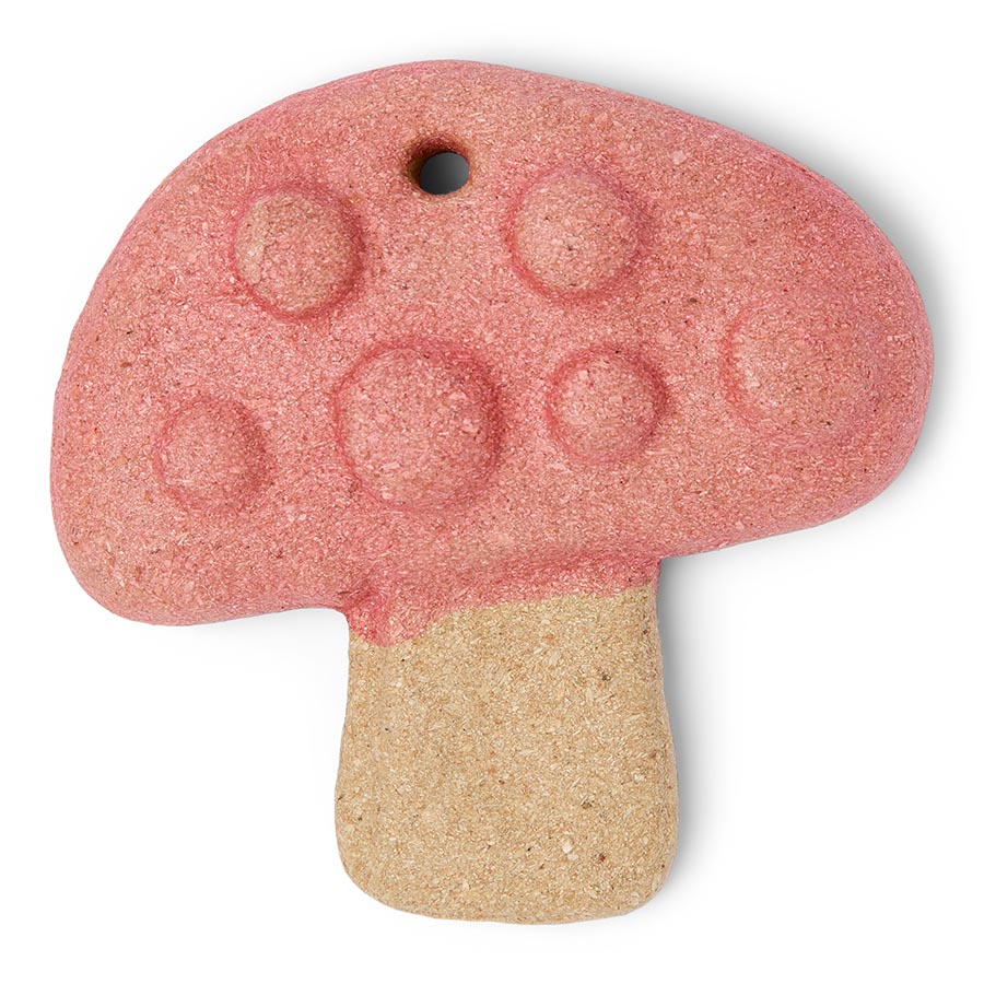 Pets at Home Hanging Mushroom Small Animal Gnaw