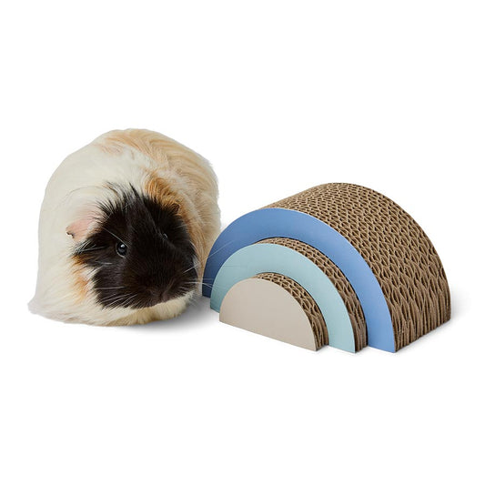 Pets at Home Cardboard Rainbow Small Animal Gnaw