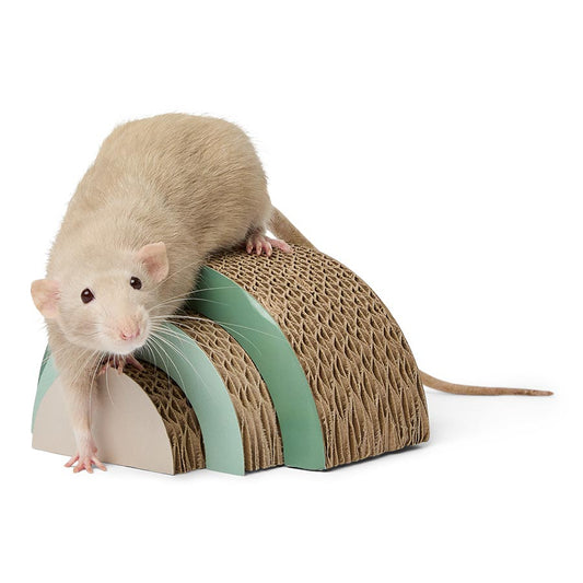 Pets at Home Cardboard Rainbow Small Animal Gnaw