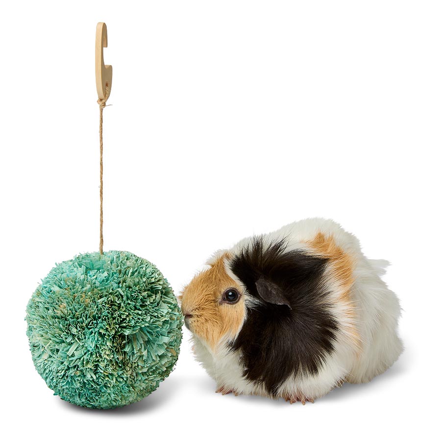 Pets at Home Hanging Cornleaf Ball Small Animal Gnaw X Large