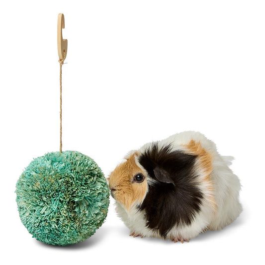 Pets at Home Hanging Cornleaf Ball Small Animal Gnaw X Large