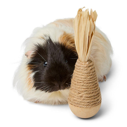 Pets at Home Sisal Wobble Small Animal Gnaw