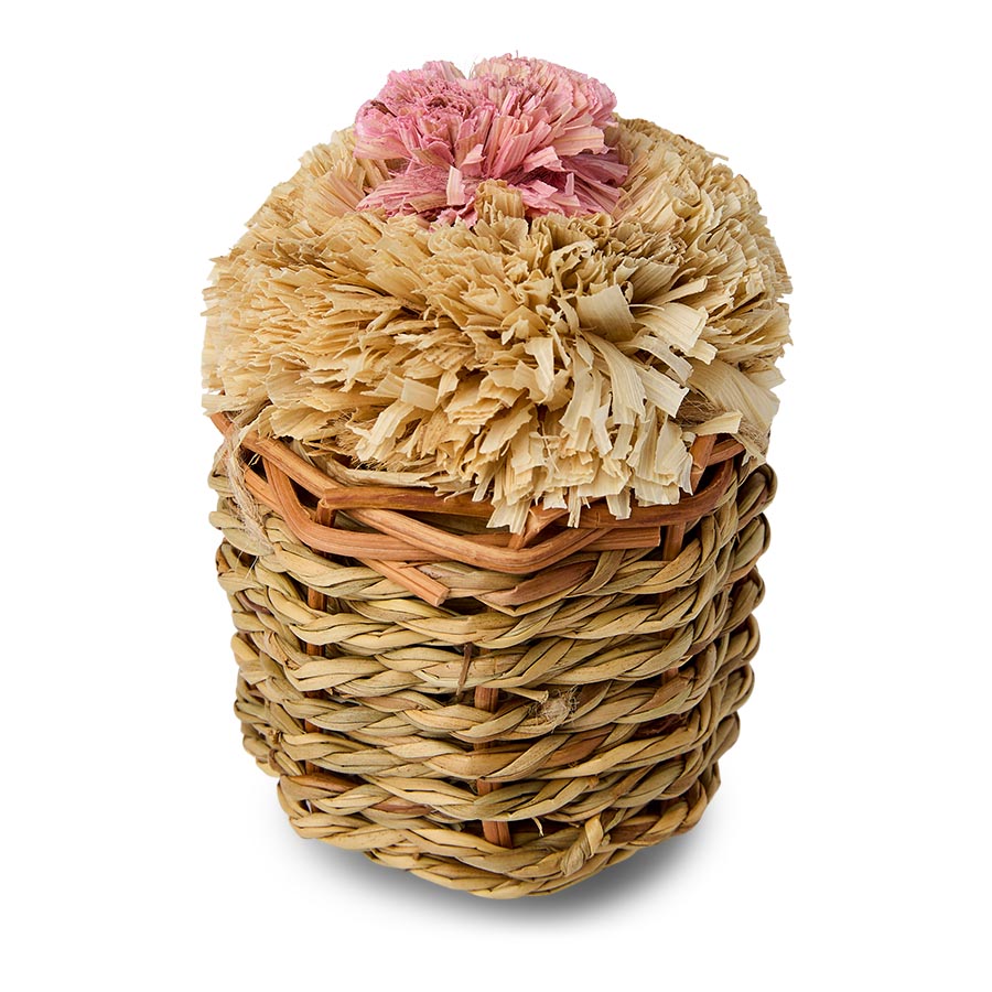 Pets at Home Cupcake Small Animal Gnaw