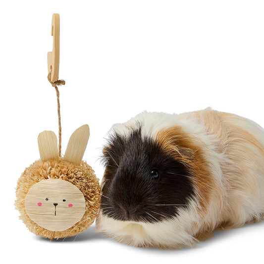 Pets at Home Hanging Cornleaf Rabbit Small Animal Gnaw