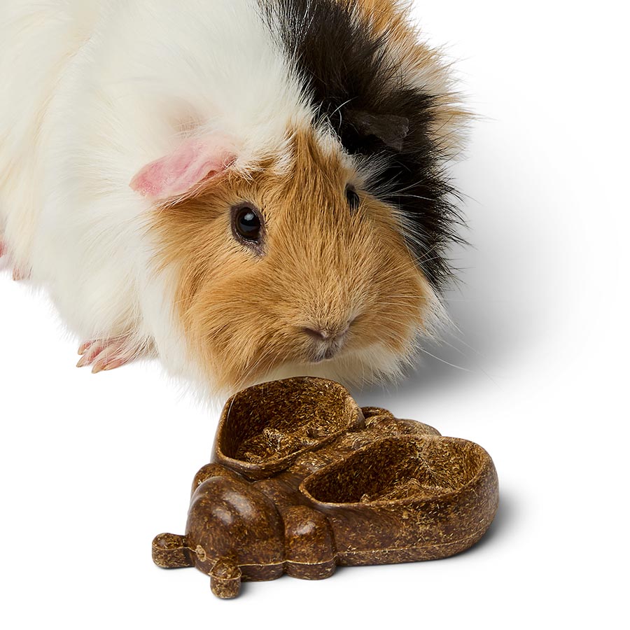 Pets at Home Bumble Bee Small Animal Gnaw Treat 55g