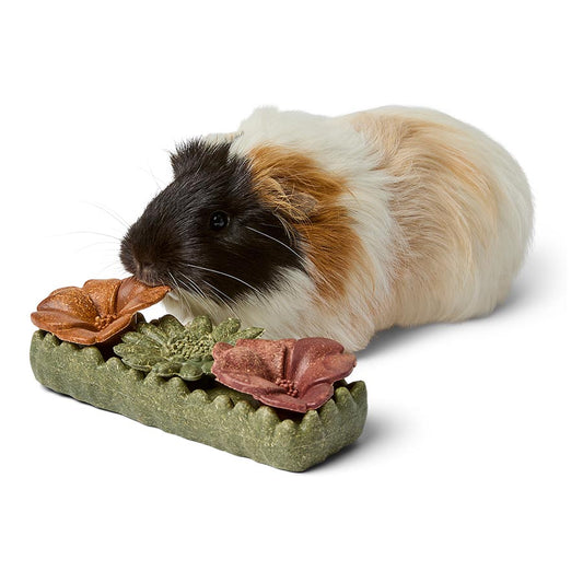Pets at Home Flower Patch Small Animal Gnaw Treat 180g