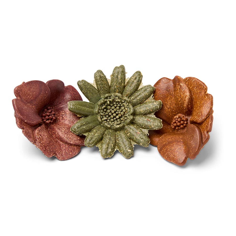 Pets at Home Flower Patch Small Animal Gnaw Treat 180g