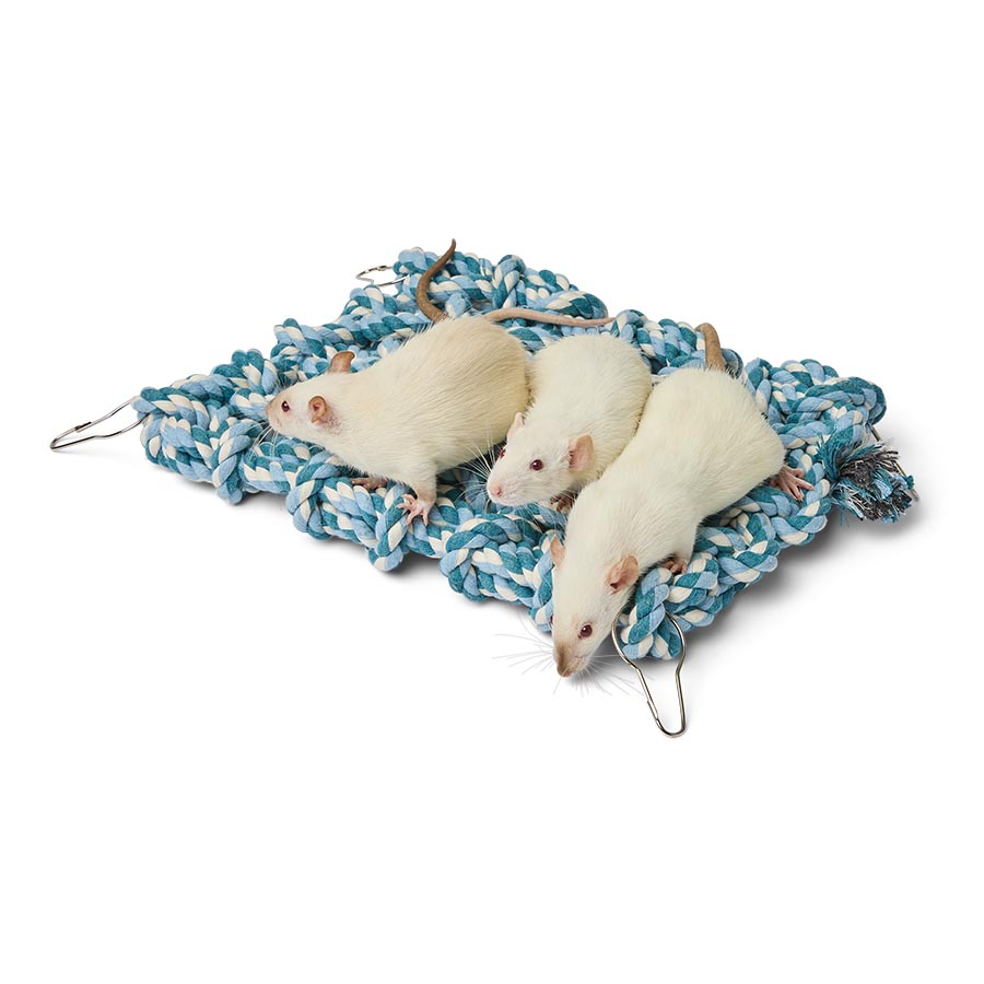 Pets at Home Small Animal Scramble Net Toy