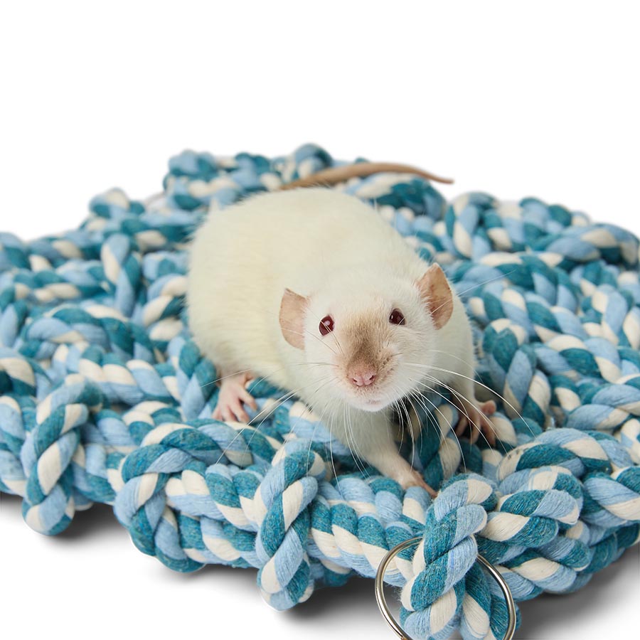 Pets at Home Small Animal Scramble Net Toy