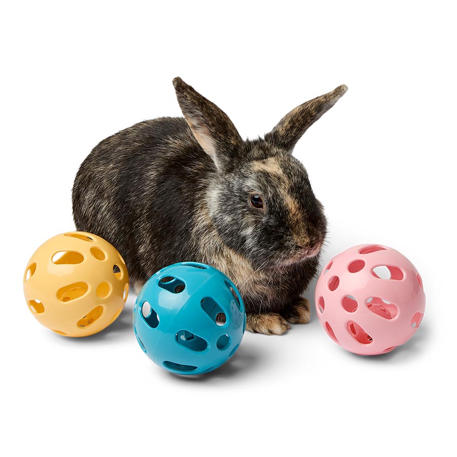 Pets at Home Small Animal Plastic Ball Toy