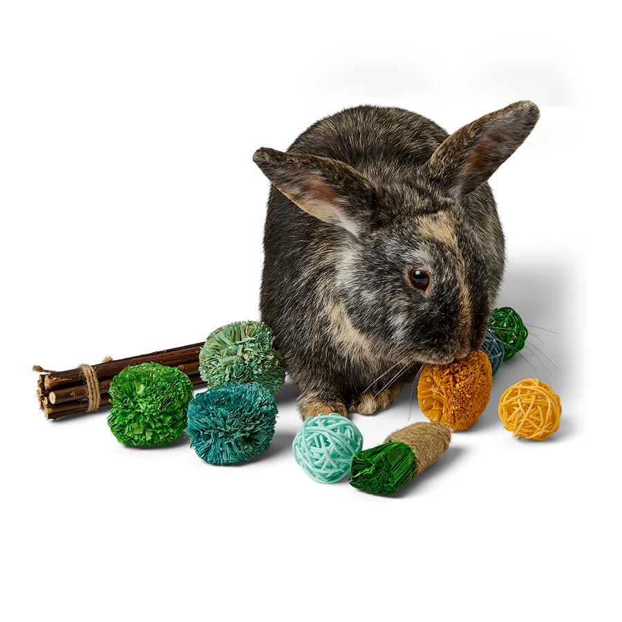 Pets at Home Small Animal Gnaws Activity Pack