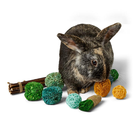 Pets at Home Small Animal Gnaws Activity Pack