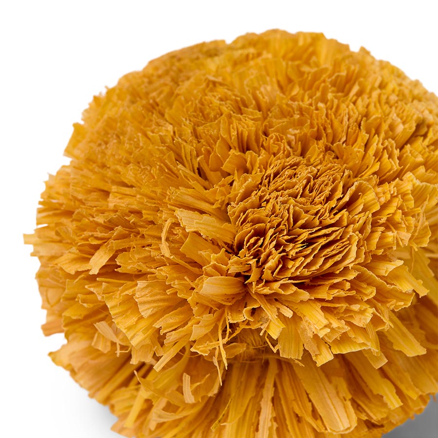 Pets at Home Small Animal Gnaws Activity Pack