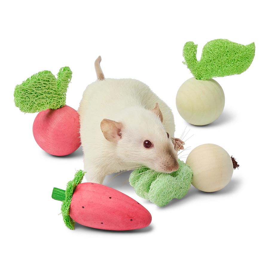 Pets at Home Wood & Loofah Fruit & Veg Small Animal Gnaw