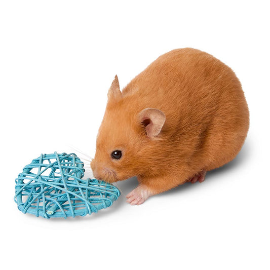 Pets at Home Willow Heart Small Animal Gnaw