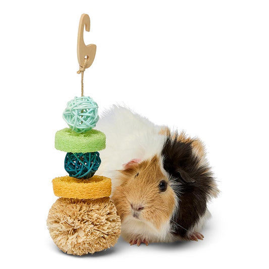 Pets at Home Small Animal Multi Texture Activity Gnaw