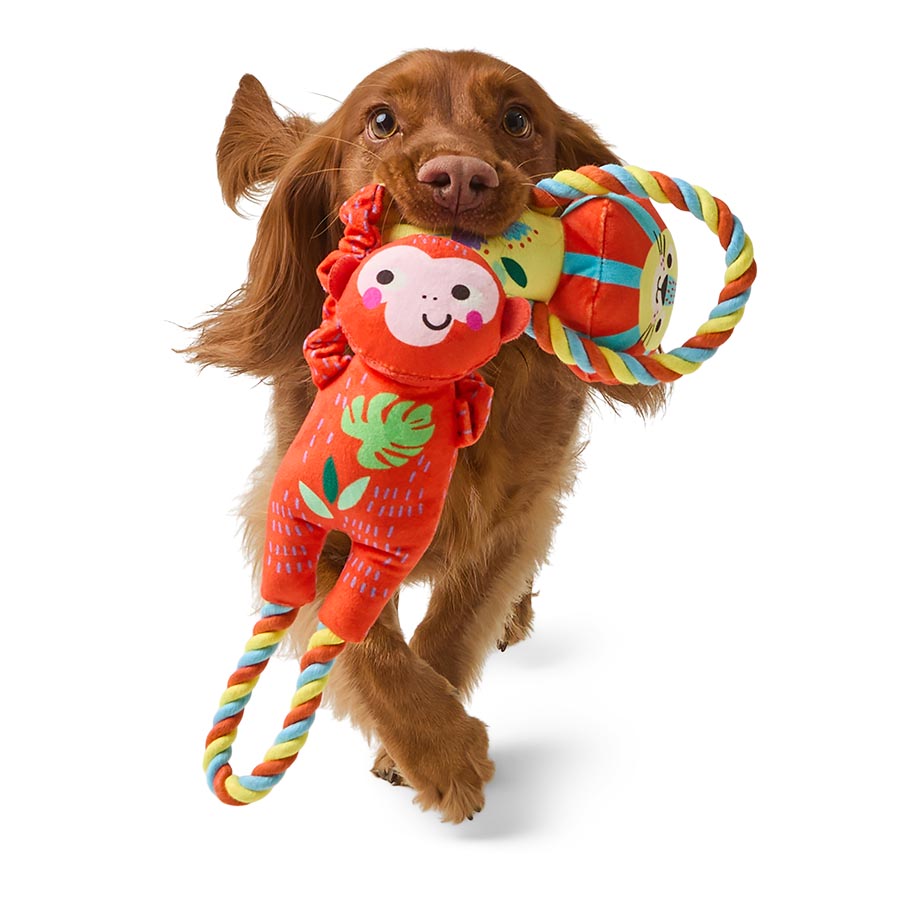 Pets at Home Sunny Daze Jungle Pals Rope Squeaky Dog Toy