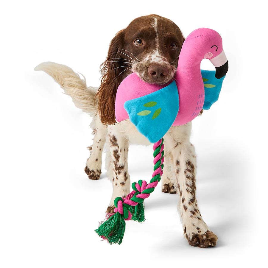 Pets at Home Sunny Daze Plush Flo Flamingo with Rope Squeaky Dog Toy