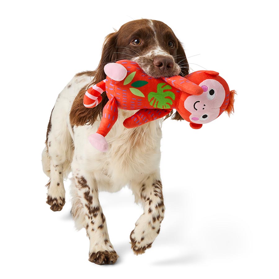 Pets at Home Sunny Daze Summer Medium Monty Monkey Squeaky Dog Toy