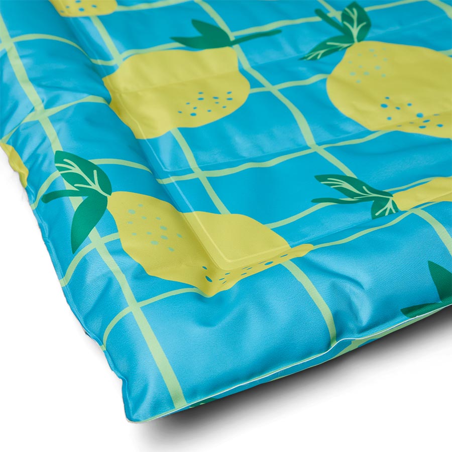 Pets at Home Sunny Lovely Lemons Cooling Dog Crate Mat