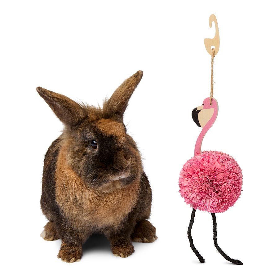 Pets at Home Sunny Daze Cornleaf Flamingo Small Animal Gnaw