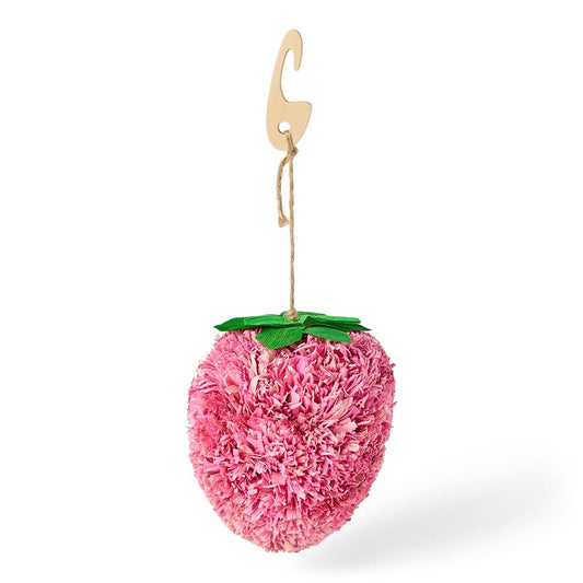 Pets at Home Sunny Daze Cornleaf Summer Strawberry Small Animal Gnaw