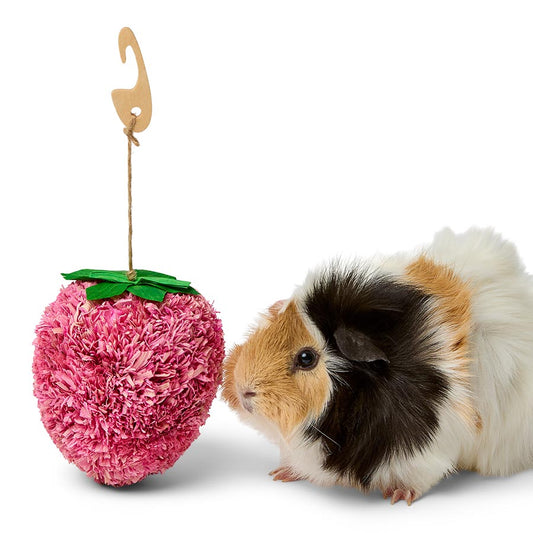 Pets at Home Sunny Daze Cornleaf Summer Strawberry Small Animal Gnaw