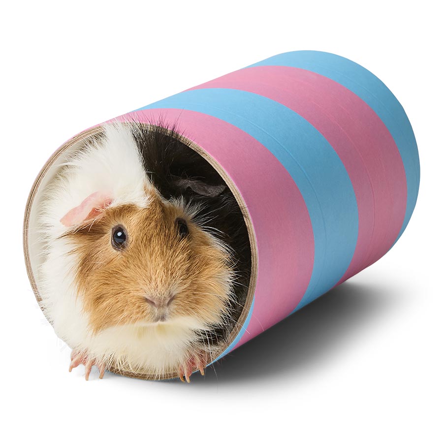 Rosewood Boredom Breaker Small Animal Chew Tube Large